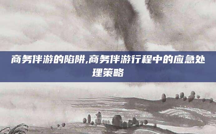 仁寿商务伴游的陷阱,商务伴游行程中的应急处理策略